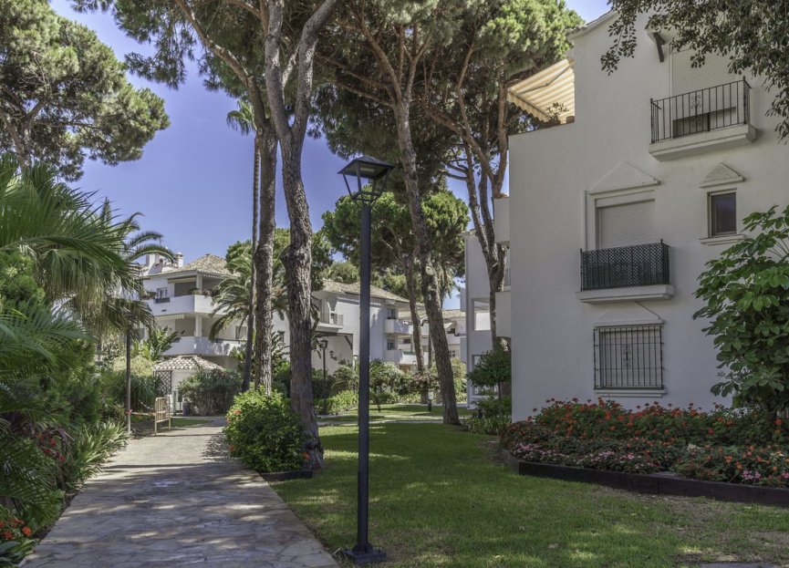 Resale - Apartment - Penthouse - Estepona - New Golden Mile