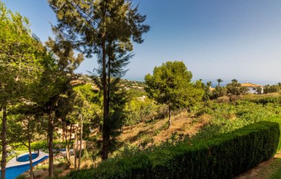 Resale - Apartment - Middle Floor Apartment - Marbella - Elviria