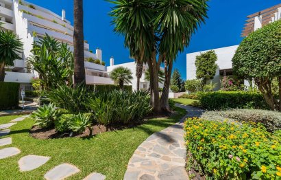 Resale - Apartment - Middle Floor Apartment - Marbella - Nueva Andalucia