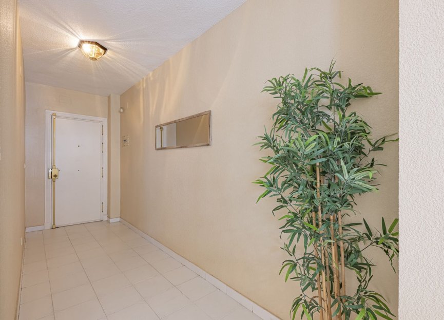 Resale - Apartment - Middle Floor Apartment - Fuengirola - Fuengirola Centro