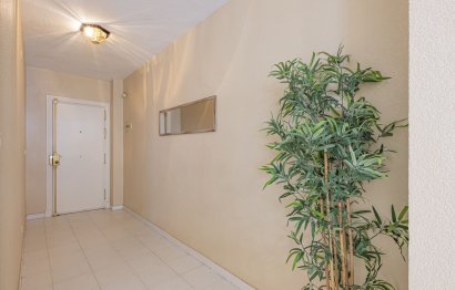 Resale - Apartment - Middle Floor Apartment - Fuengirola - Fuengirola Centro