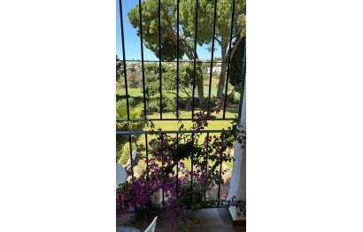 Reventa - House - Semi-Detached House - Marbella - Nueva Andalucia