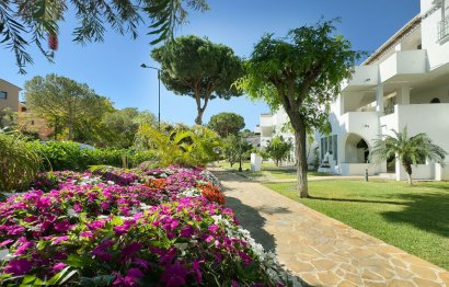 Resale - Apartment - Middle Floor Apartment - Estepona - Estepona Centro