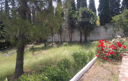 Resale - House - Finca - Cortijo - Marbella - Guadalmina Alta