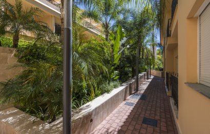 Resale - Apartment - Ground Floor Apartment - Marbella - Nueva Andalucia