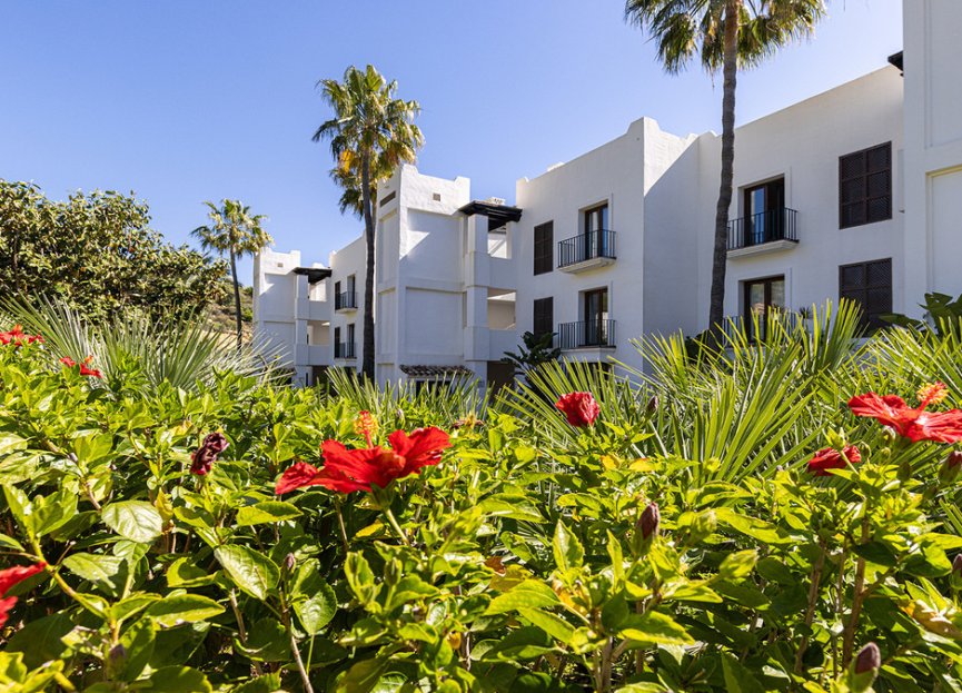 Resale - Apartment - Middle Floor Apartment - Casares - Casares Centro