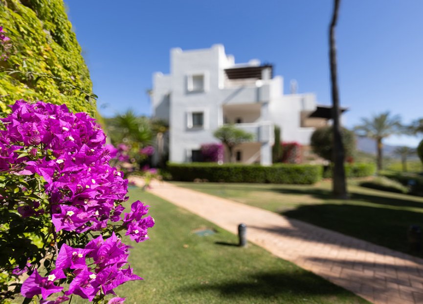 Resale - Apartment - Middle Floor Apartment - Casares - Casares Centro