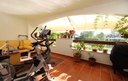 Reventa - Apartment - Ground Floor Apartment - Marbella - Nueva Andalucia