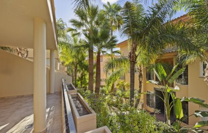 Resale - Apartment - Ground Floor Apartment - Marbella - Nueva Andalucia