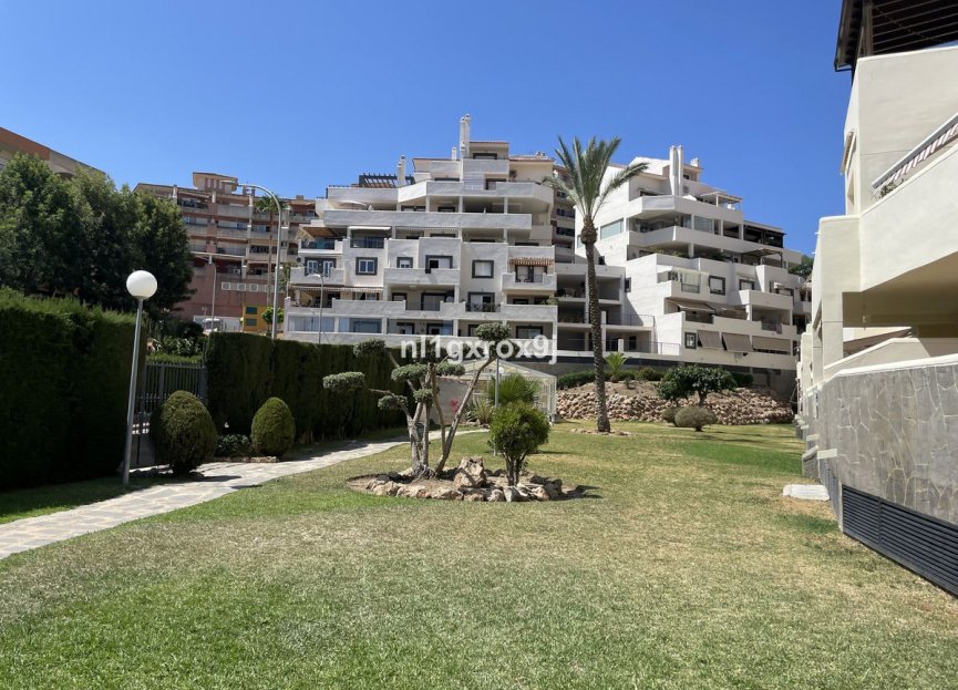 Resale - Apartment - Middle Floor Apartment - Benalmádena - Benalmadena Centro