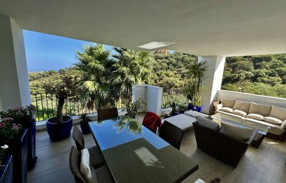 Resale - Apartment - Ground Floor Apartment - Marbella - La Mairena