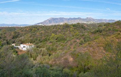 Resale - House - Detached Villa - Marbella - El Rosario