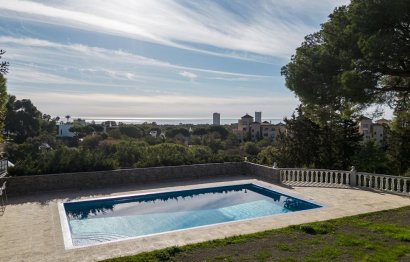 Resale - House - Detached Villa - Marbella - Elviria