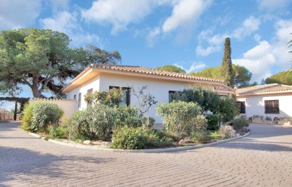 Resale - House - Detached Villa - Marbella - Elviria