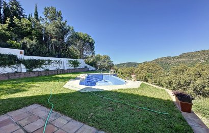 Resale - House - Finca - Cortijo - Casares - Casares Centro