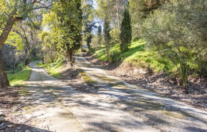 Resale - House - Detached Villa - Benahavís - Benahavís Centro