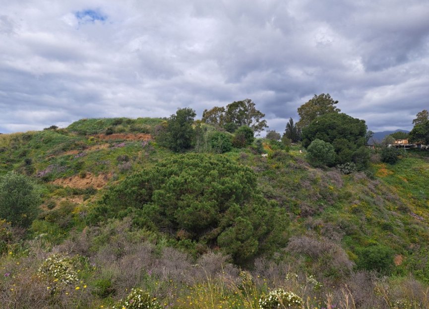 Reventa - Plot - Land - Mijas - La Cala De Mijas