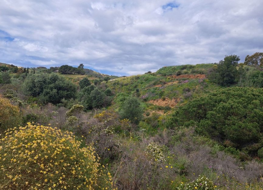 Reventa - Plot - Land - Mijas - La Cala De Mijas