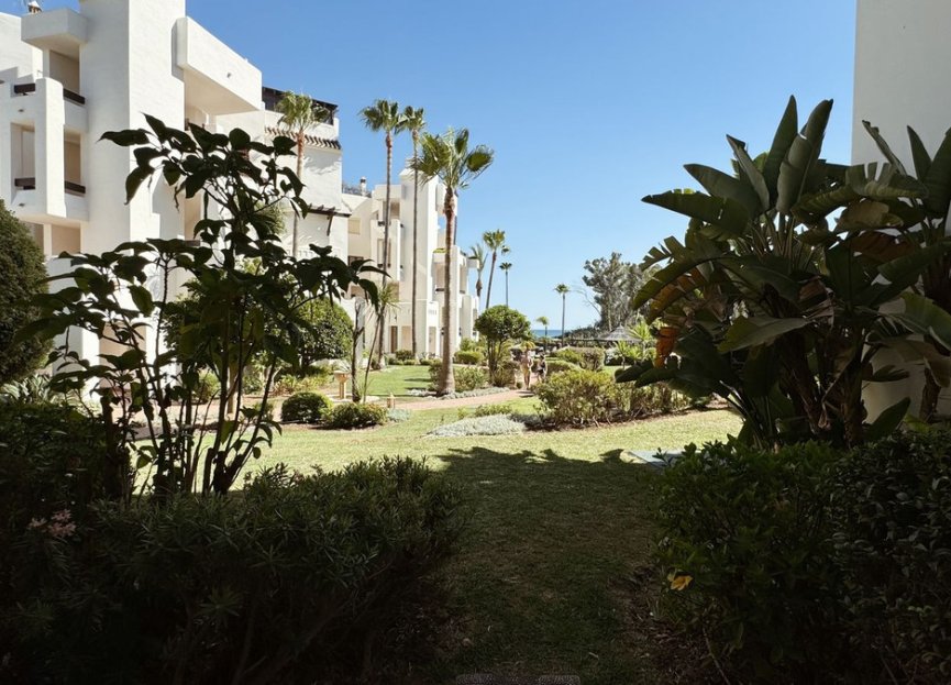 Reventa - Apartment - Ground Floor Apartment - Estepona - Estepona Centro