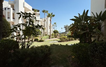 Reventa - Apartment - Ground Floor Apartment - Estepona - Estepona Centro