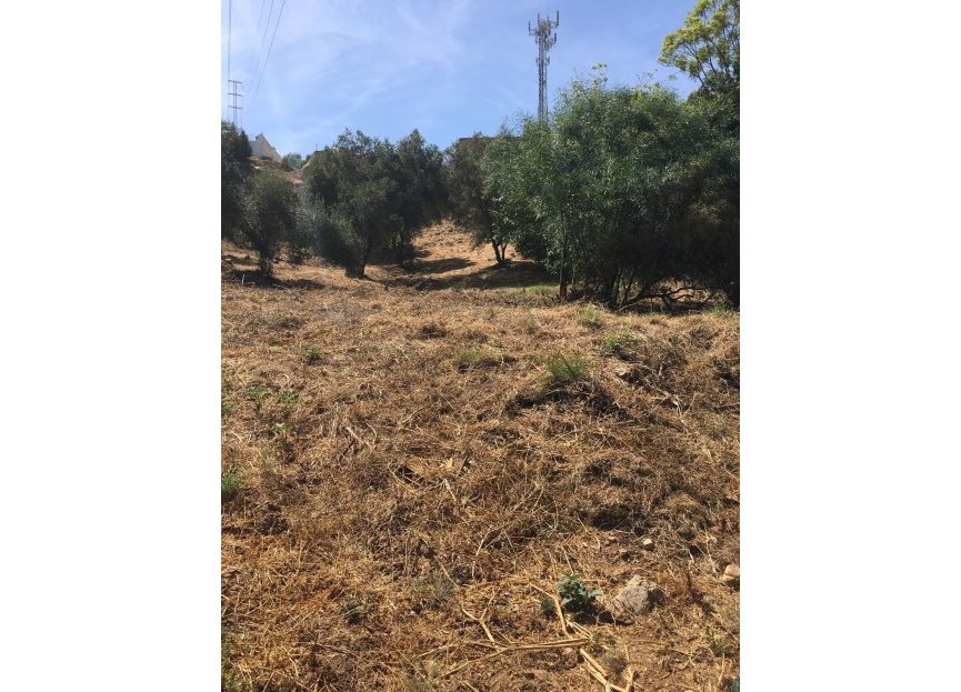 Resale - Plot - Residential Plot - Marbella - Hacienda Las Chapas