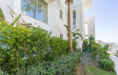 Resale - Apartment - Ground Floor Apartment - Marbella