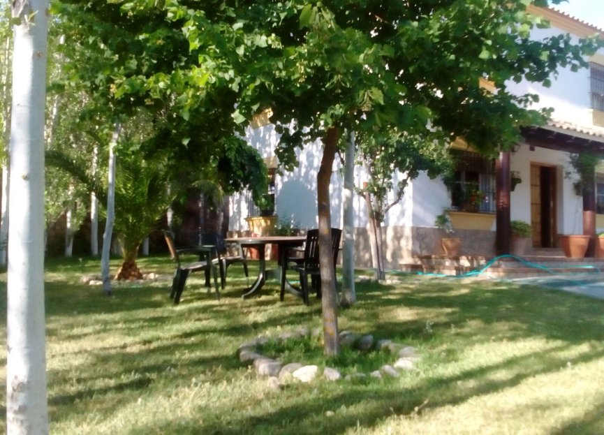 Resale - House - Antequera