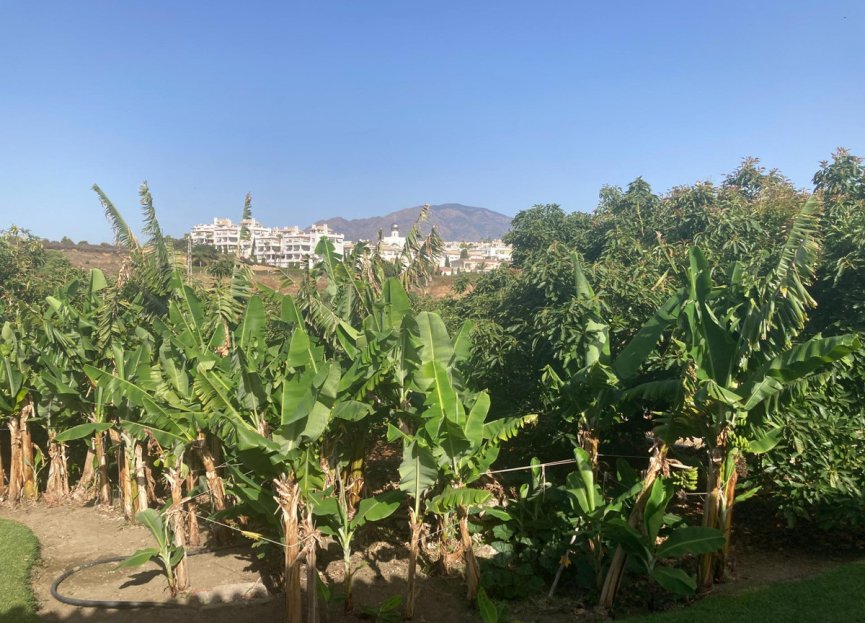 Resale - House - Estepona