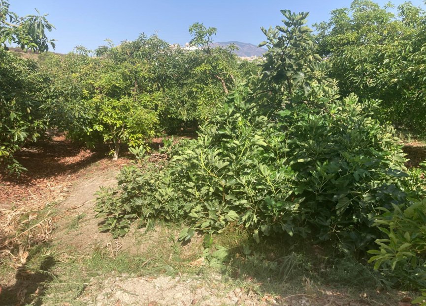 Resale - House - Estepona