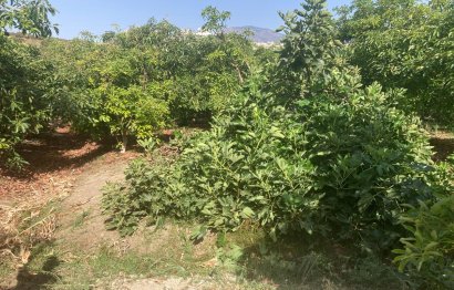 Resale - House - Estepona