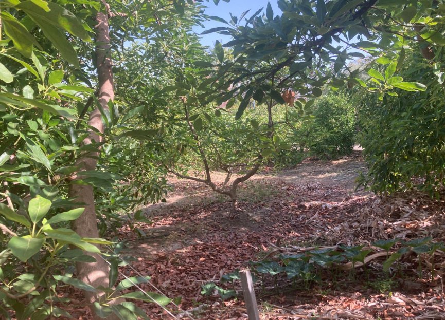 Resale - House - Estepona