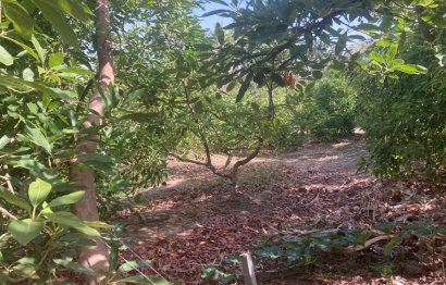 Resale - House - Estepona