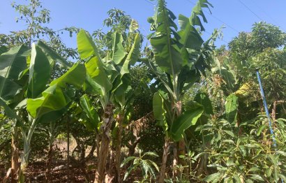 Resale - House - Estepona