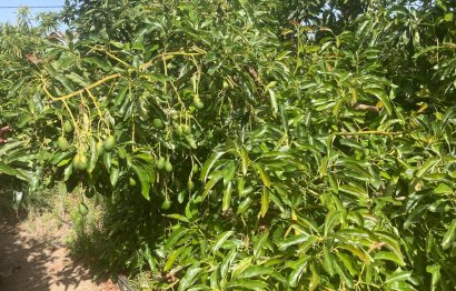 Resale - House - Estepona