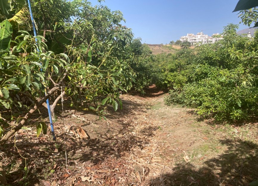 Resale - House - Estepona