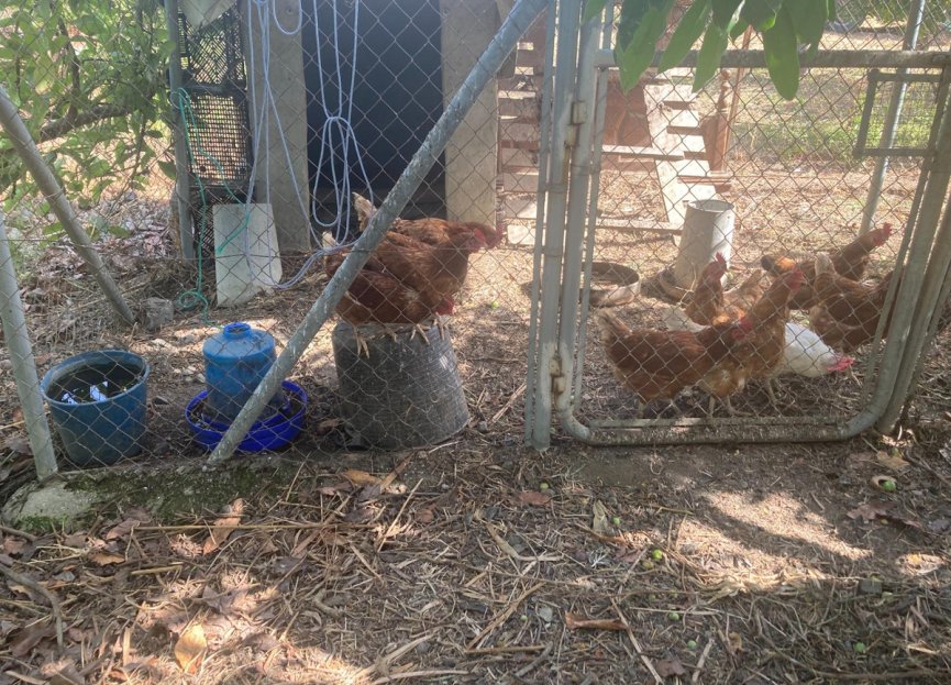 Resale - House - Estepona