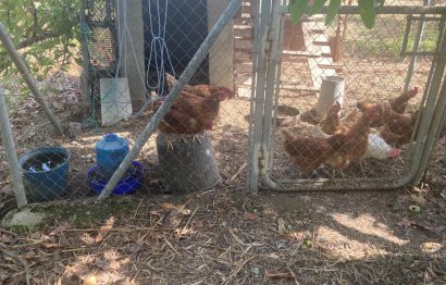 Resale - House - Estepona