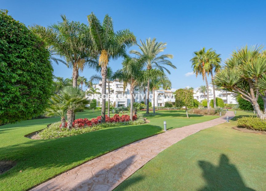 Resale - Apartment - Penthouse - Estepona - Estepona Centro