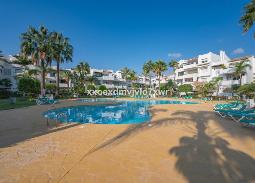 Reventa - Apartment - Penthouse - Estepona - Estepona Centro