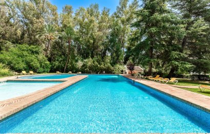 Resale - House - Detached Villa - Marbella - Nueva Andalucia