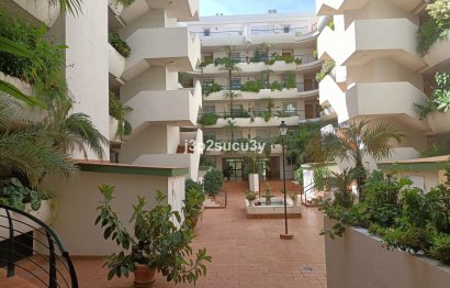 Reventa - Apartment - Ground Floor Apartment - Marbella - Guadalmina Alta