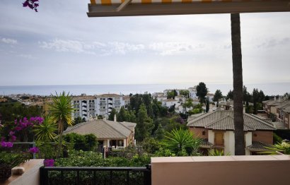 Reventa - Apartment - Ground Floor Apartment - Mijas - Calahonda