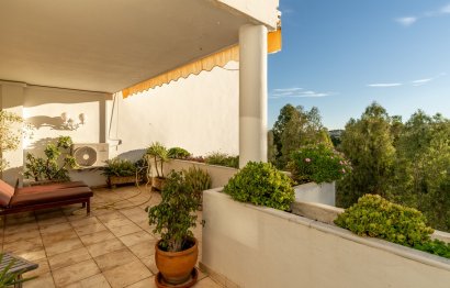 Resale - Apartment - Middle Floor Apartment - Marbella - Guadalmina Alta