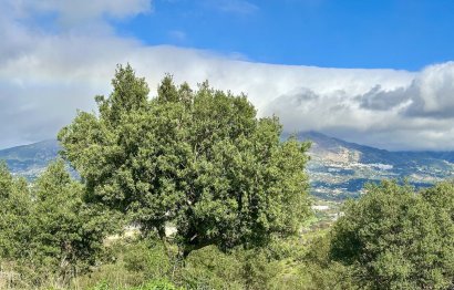 Resale - Plot - Land with Ruin - Mijas - La Cala