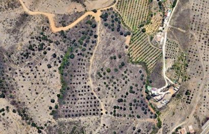 Resale - Plot - Land with Ruin - Mijas - La Cala