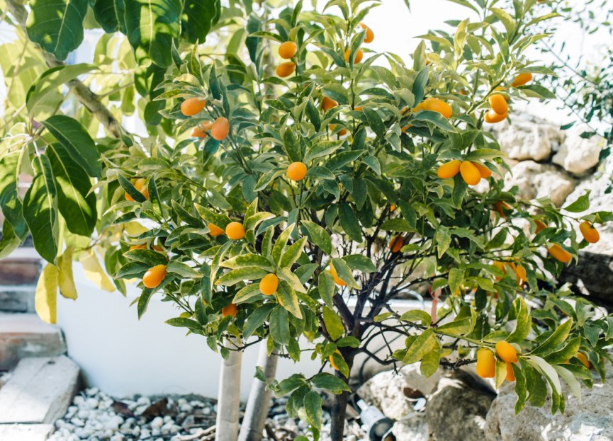 Resale - House - Estepona