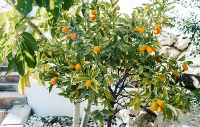 Resale - House - Estepona