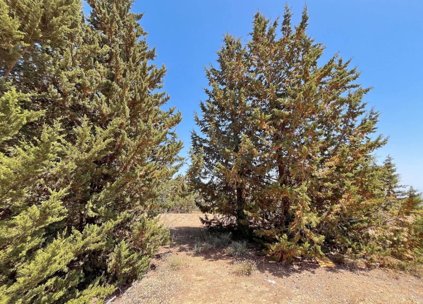 Resale - Commercial - Alhaurín de la Torre