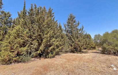 Resale - Commercial - Alhaurín de la Torre