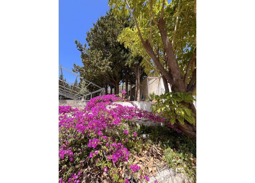 Resale - Commercial - Alhaurín de la Torre